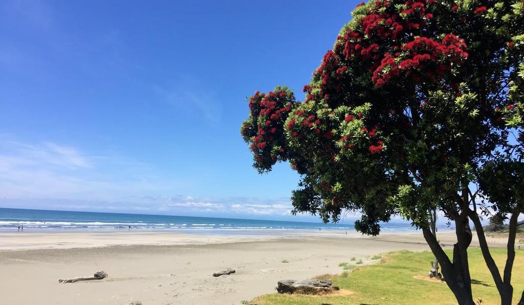 Whakatane Hotel Exterior photo